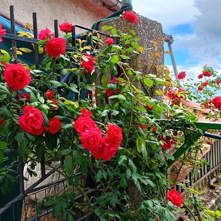 Вилла Locazione Turistica" La Rupe" Marsicovetere Экстерьер фото